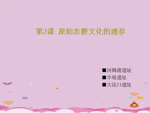 原始农耕文化的遗存PPT课件4 川教版优秀课件