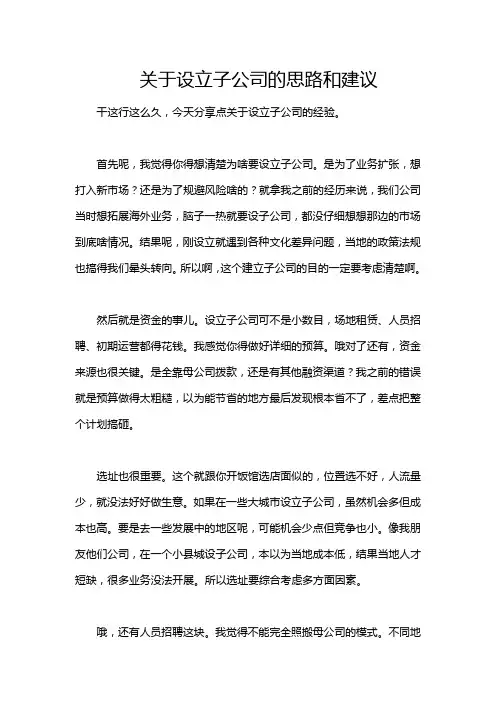关于设立子公司的思路和建议