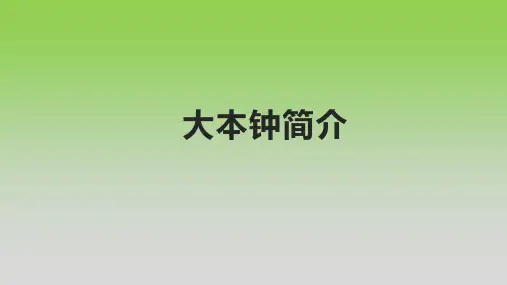 大本钟简介