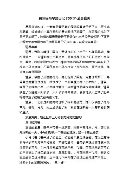 初三描写早晨日记300字-清晨真美