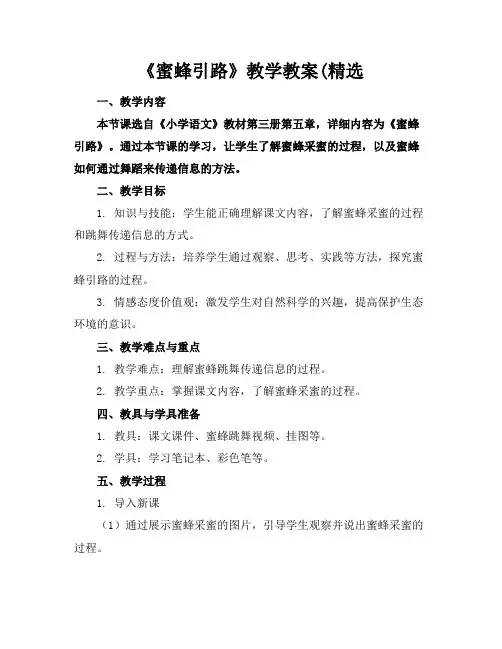 《蜜蜂引路》教学教案