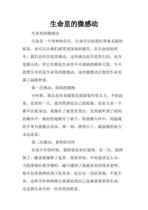 生命里的微感动