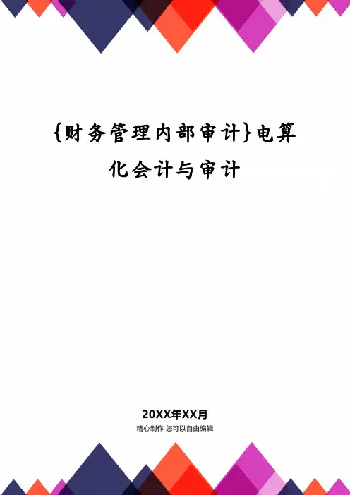 {财务管理内部审计}电算化会计与审计