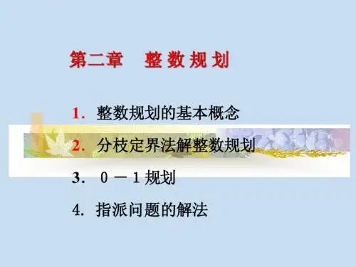 数学建模整数规划