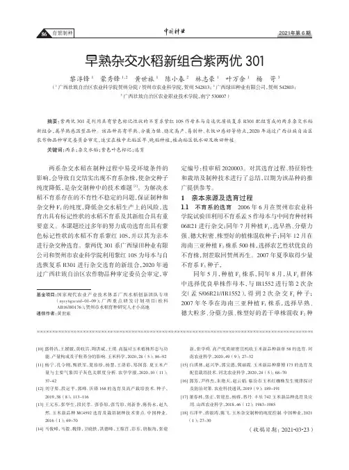 早熟杂交水稻新组合紫两优301