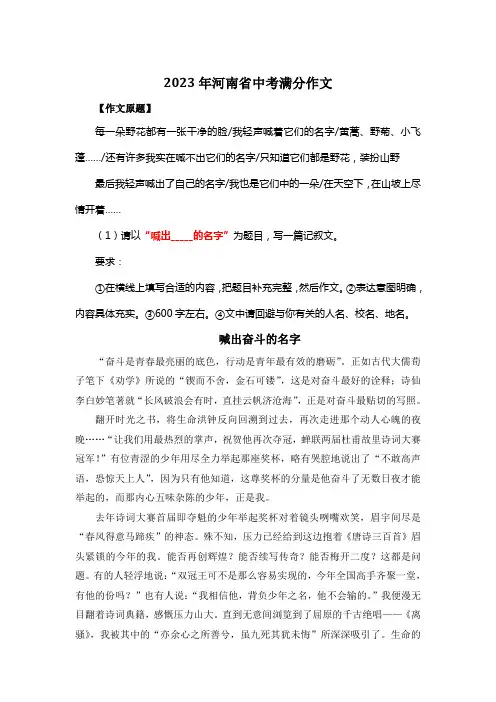 2023年河南省中考满分作文《喊出奋斗的名字》