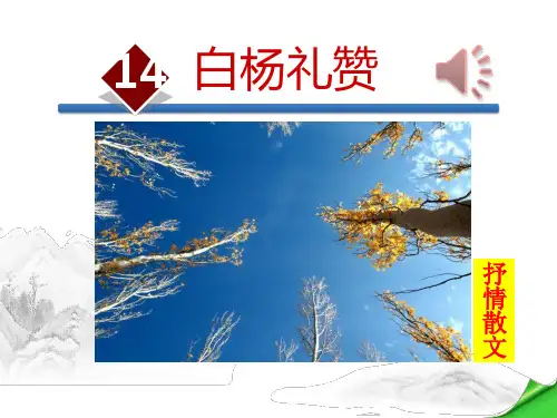 《白杨礼赞》PPT-完美版