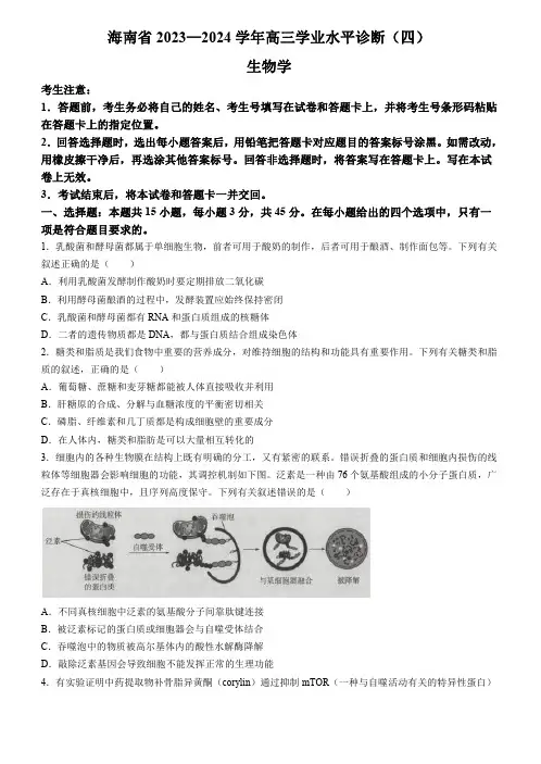 海南省天一大联考2023-2024学年高三学业水平诊断考试(四)生物试题(含答案)