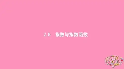 浙江高考数学函数2.5指数与指数函数课件