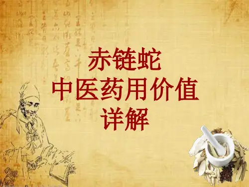 中药学_赤链蛇_药材详解课件模板