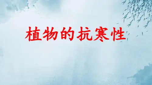 植物的抗寒性ppt