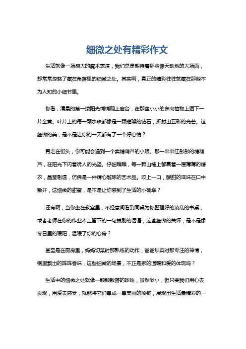 细微之处有精彩作文