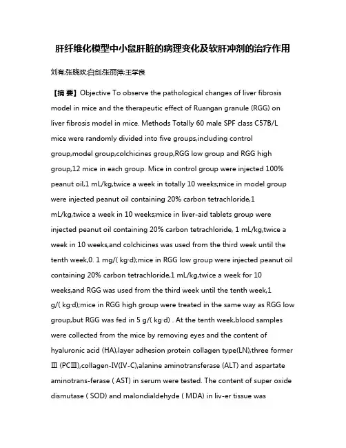 肝纤维化模型中小鼠肝脏的病理变化及软肝冲剂的治疗作用