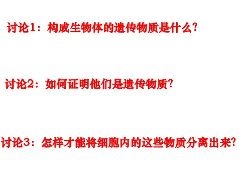 高中生物选修一--DNA的粗提取与鉴定