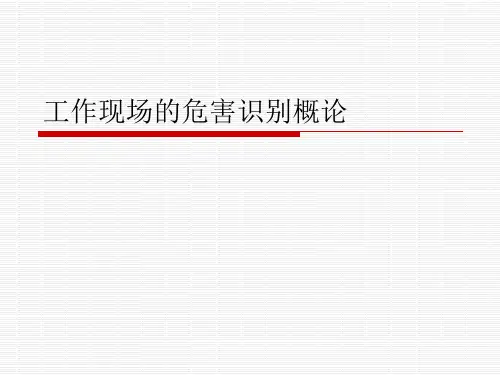 工作现场的危害识别概论
