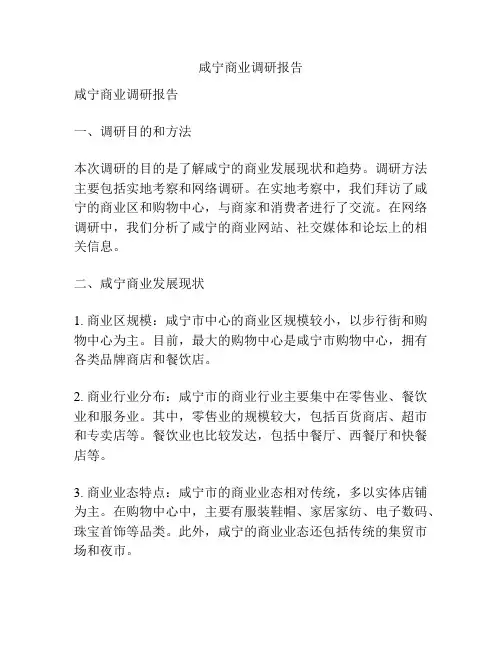咸宁商业调研报告