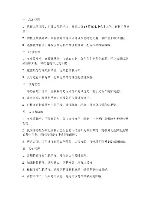 沾化冬枣种植技术管理