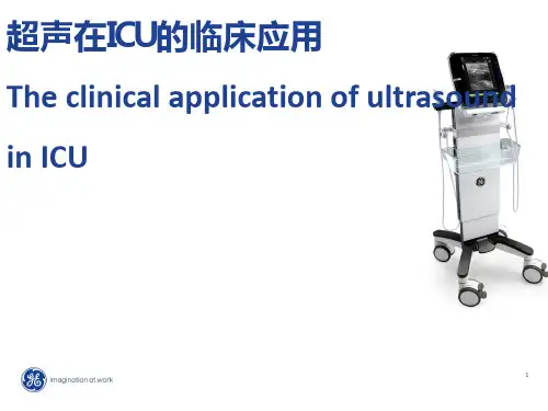 超声在ICU的临床应用ppt课件