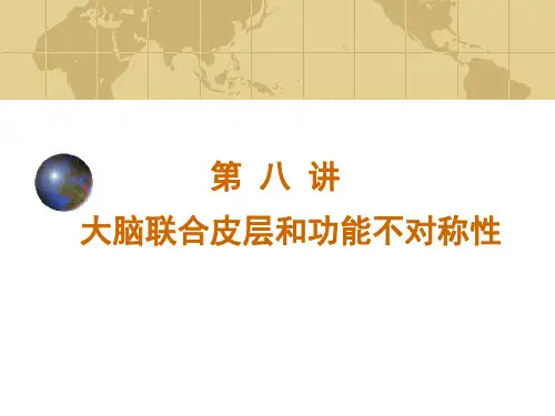 第八讲 大脑联合皮层和功能一侧化