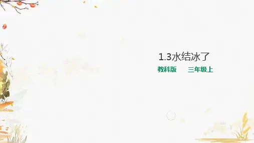 教科版小学科学三年级上册1.3水结冰了 方案一(分组实验) 课件