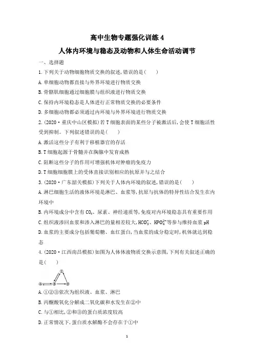 高三生物专题强化训练4：人体内环境与稳态及动物和人体生命活动调节
