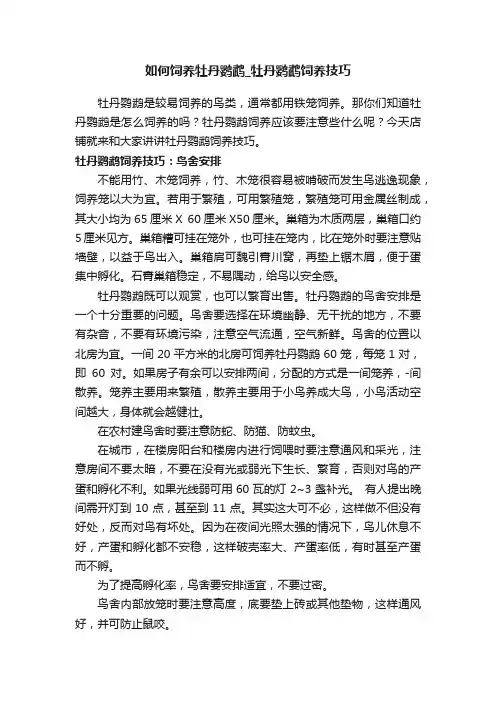 如何饲养牡丹鹦鹉_牡丹鹦鹉饲养技巧
