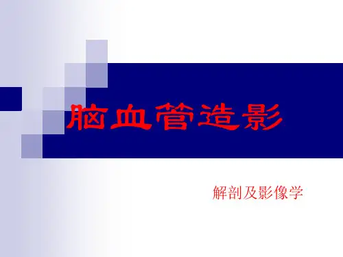 (完整PPT)脑血管造影(解剖及影像表现)