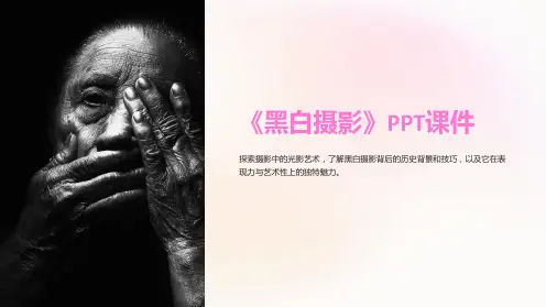 《黑白摄影》课件