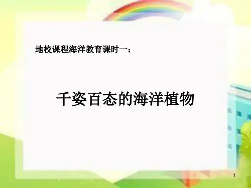千姿百态的海洋植物概述PPT课件