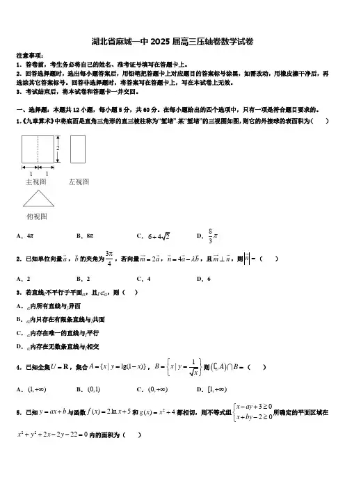 湖北省麻城一中2025届高三压轴卷数学试卷含解析