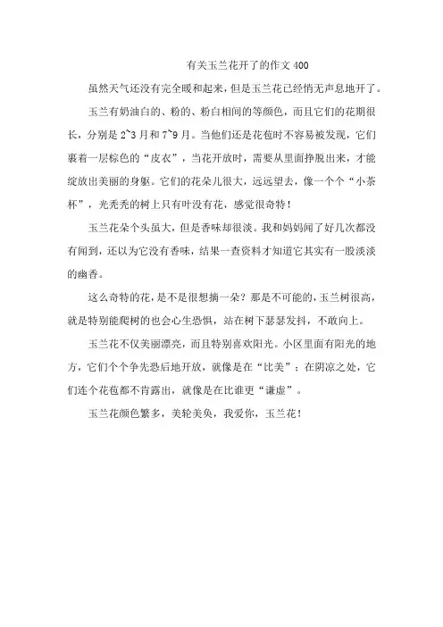 有关玉兰花开了的作文400