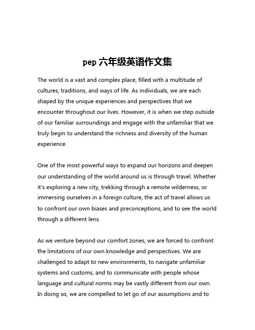 pep六年级英语作文集