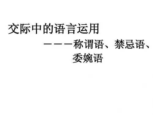 交际中的语言运用