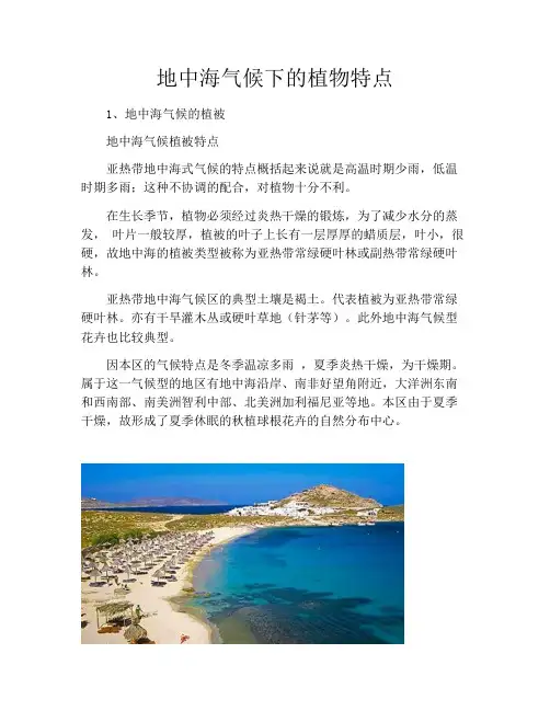 地中海气候下的植物特点
