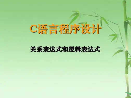关系表达式和逻辑表达式(共18张PPT)