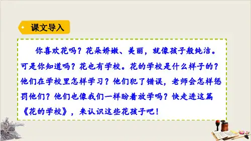 花的学校ppt课件完美版