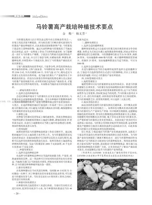 马铃薯高产栽培种植技术要点