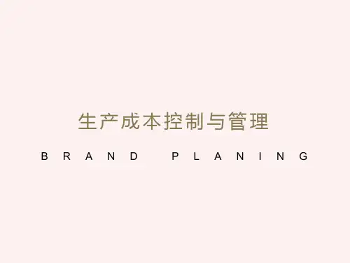 生产成本控制与管理
