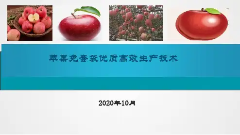 苹果免套袋优质高效生产技术