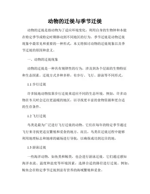 动物的迁徙与季节迁徙