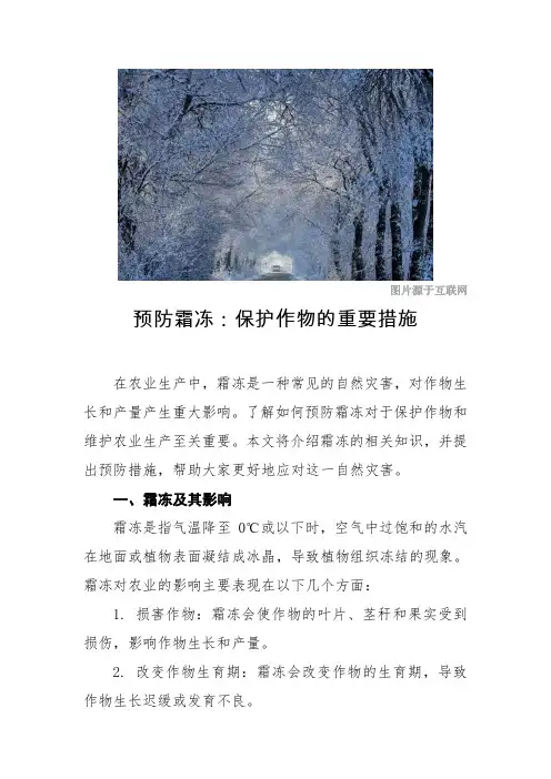 气象灾害科普稿-预防霜冻：保护作物的重要措施