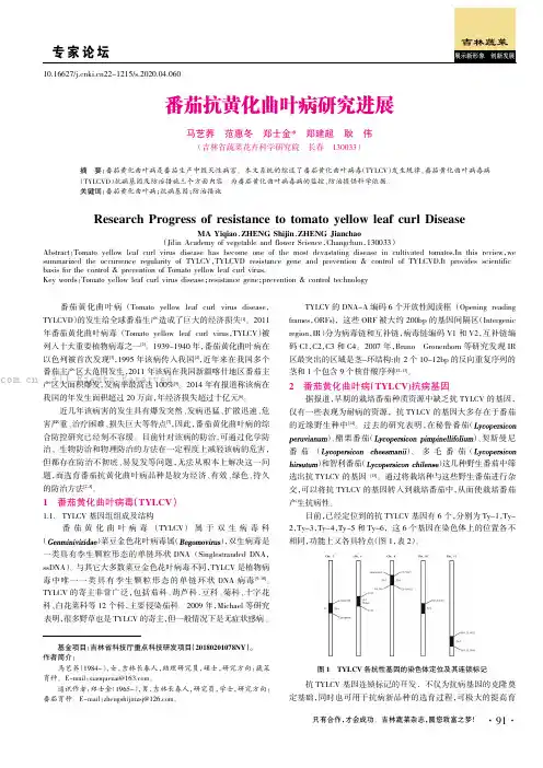 番茄抗黄化曲叶病研究进展