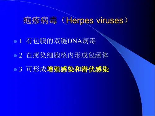 疱疹病毒(Herpesviruses)