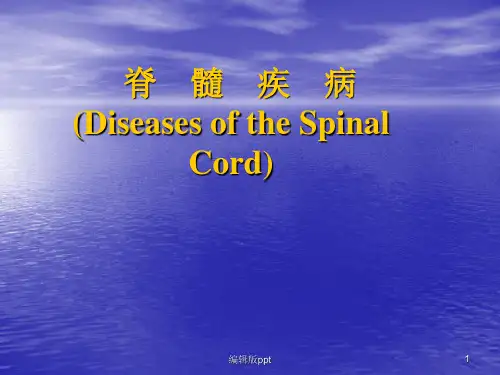 脊髓疾病医学PPT
