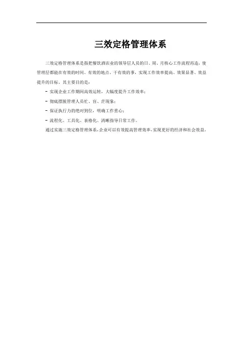 三效定格管理体系