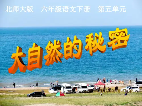 六年级下册语文课件-5.3《大自然的秘密》｜北师大版(共37张PPT)