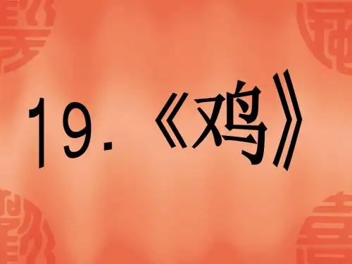2017鄂教版科学三年级上册第19课《鸡》ppt课件1