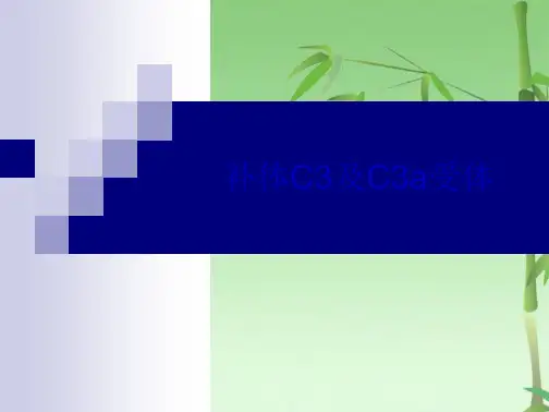 补体C及Ca受体(共21张PPT)