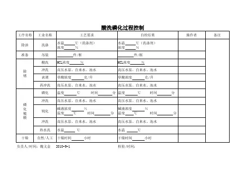酸洗过程检验记录