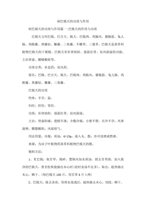 制巴戟天的功效与作用